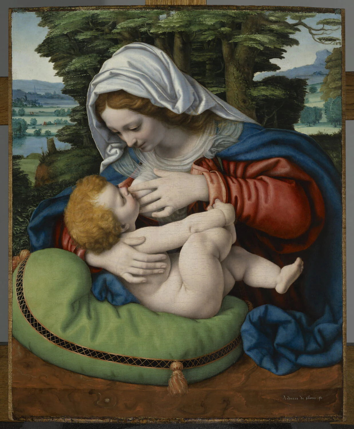 La Vierge allaitant l'Enfant, dit La Vierge au coussin vert - Andrea Solario