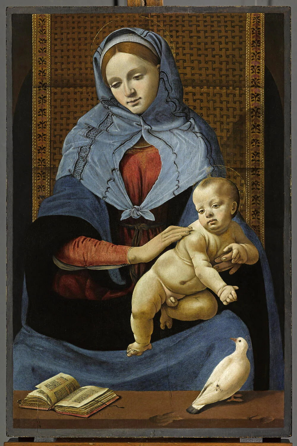 La Vierge et l'Enfant à la colombe - Piero di Cosimo (Piero di Lorenzo, dit)