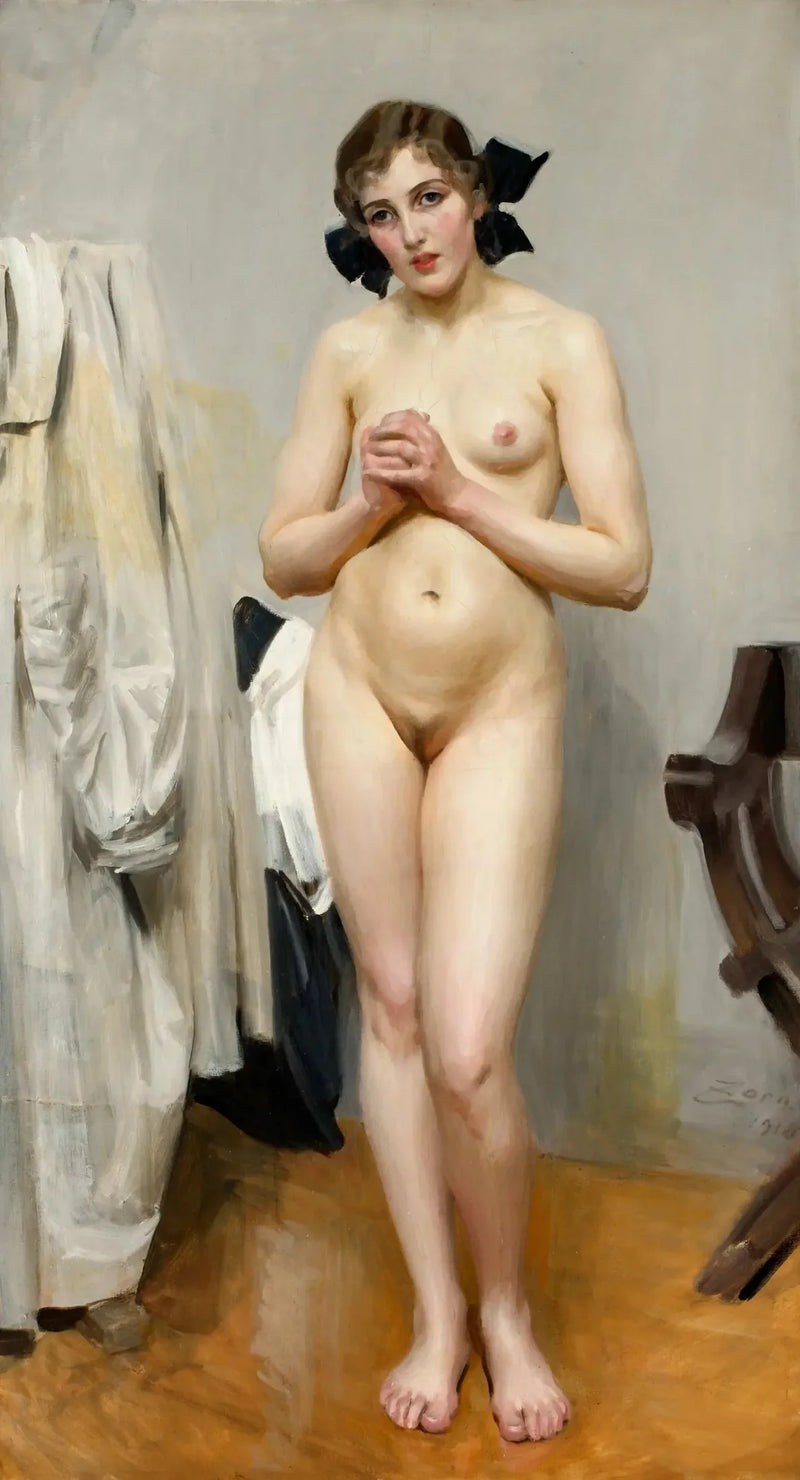 Vierzehn Jahre, ich glaube schon - Anders Zorn