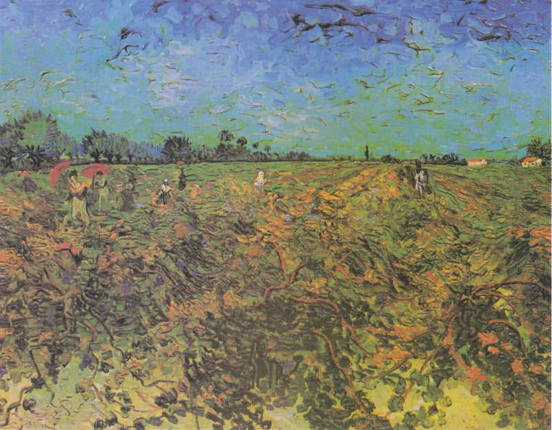 Vigne verte - Vincent van Gogh