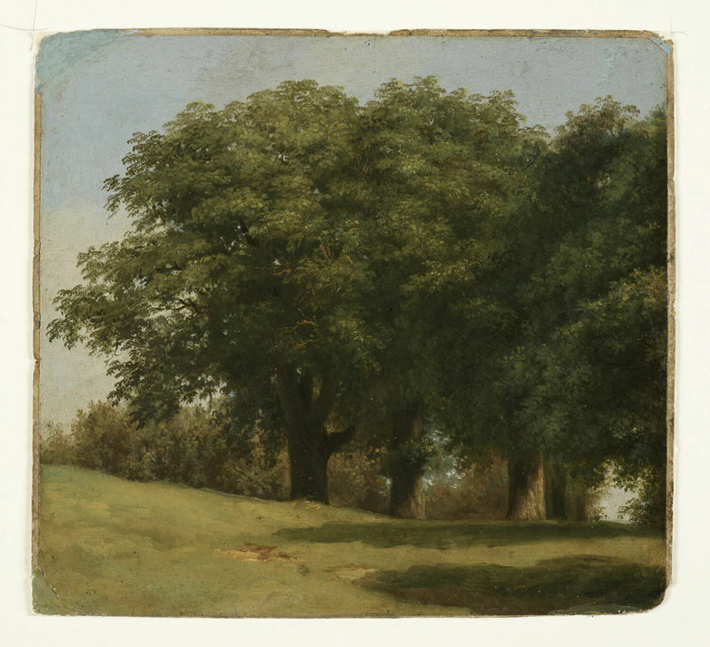 À la villa Borghèse : chemin bordé d'arbres - Pierre de Valenciennes