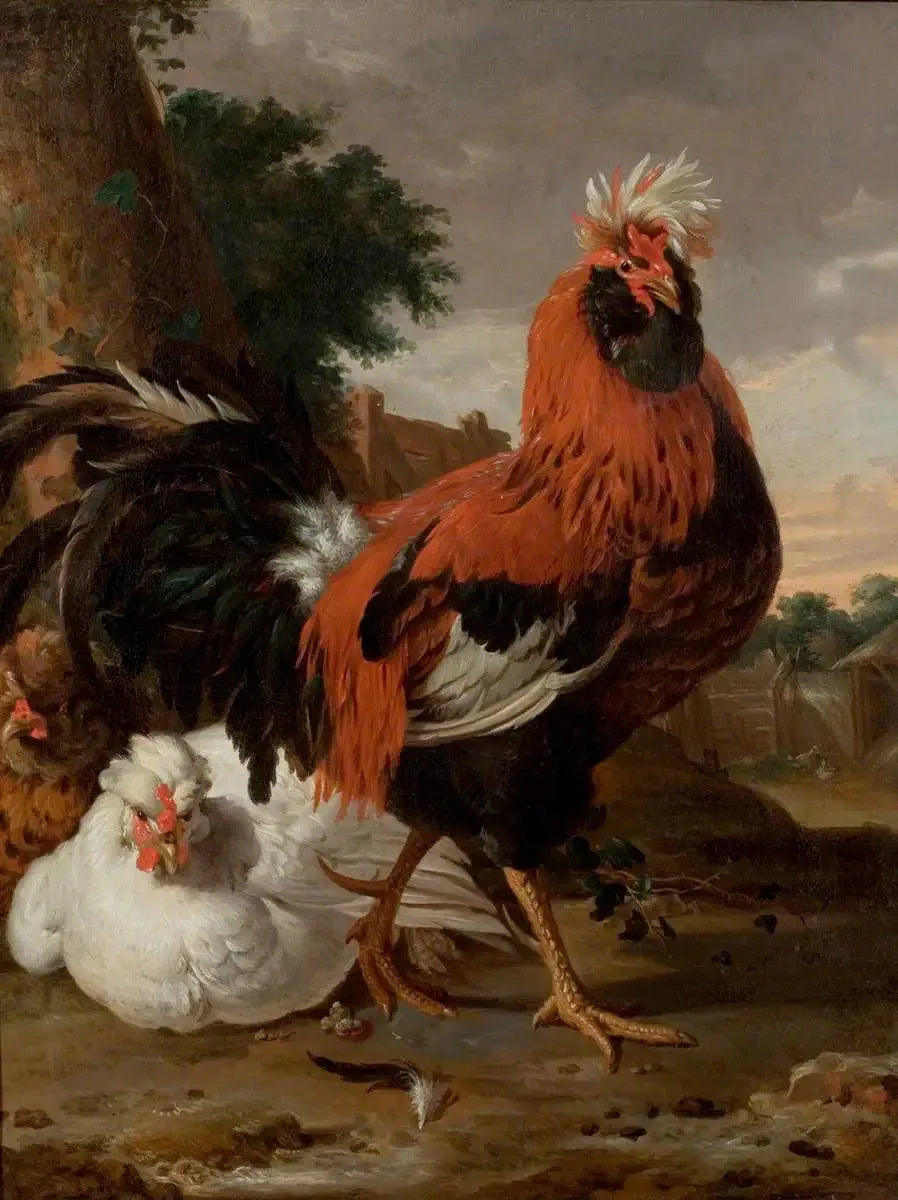 Volaille - Melchior de Hondecoeter image 1 copie de tableau peinte à la main
