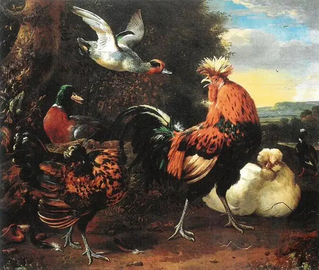 Volaille - Melchior de Hondecoeter image 1 copie peinte à la main à l’huile