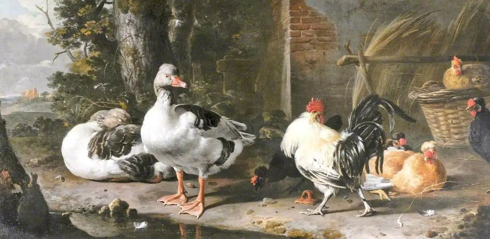 Volailles et oies - Melchior de Hondecoeter image 1 reproduction artisanale de tableau