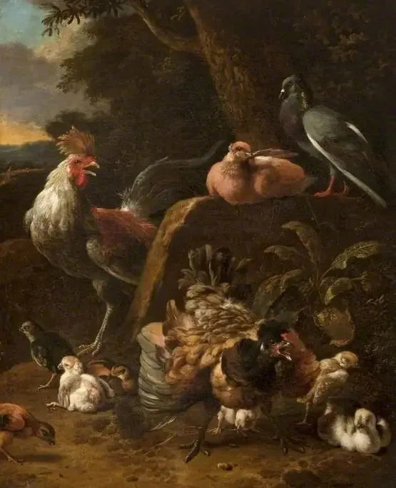 Volailles et pigeons - Melchior de Hondecoeter image 1 copie peinte à la main à l’huile