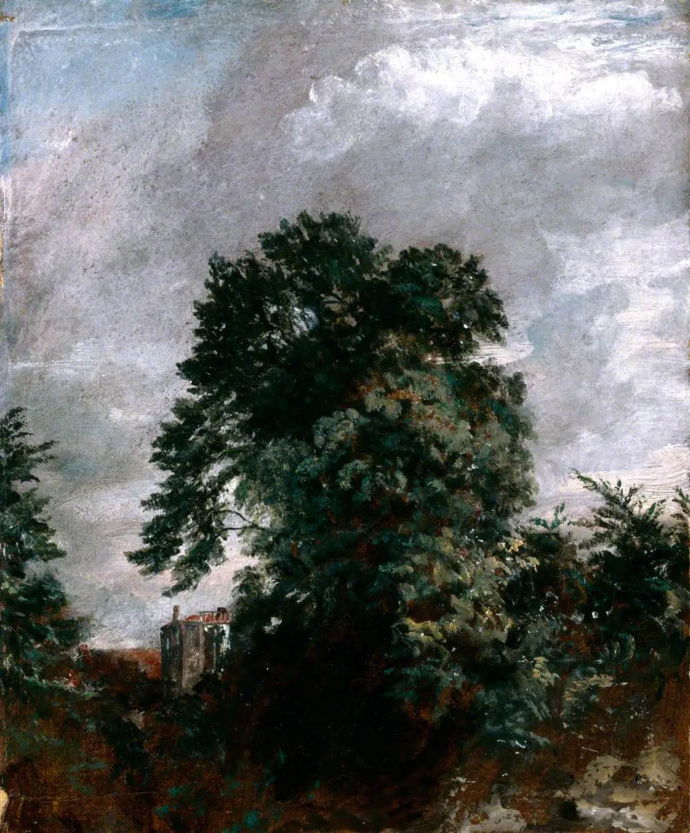 Vue lointaine du bosquet, Hampstead - John Constable image 1 reproduction réalisée par Alpha Reproduction