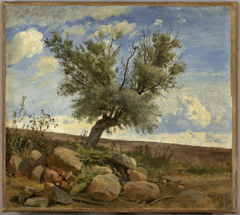 Vue prise à Vallekilde (Danemark). Saule sur un amoncellement de pierres - Johann Thomas Lundbye