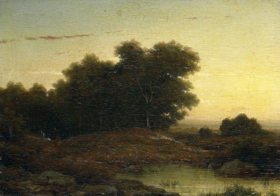Vue sur la forêt au coucher du soleil - Louwrens Hanedoes