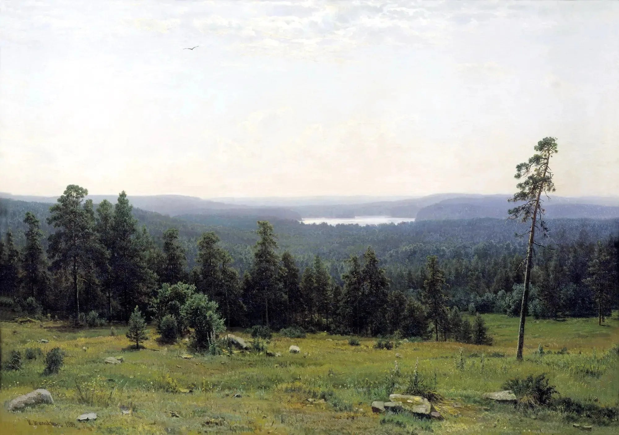 Vues lointaines de la forêt - Ivan Chichkine image 1 reproduction de peinture à l’huile