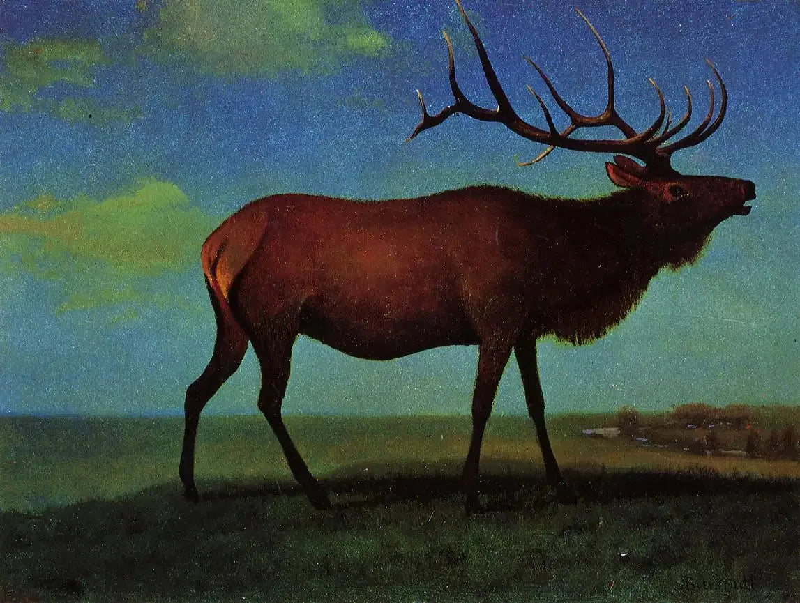 Wapiti mâle - Albert Bierstadt image 1 tableau peint à l’huile sur toile