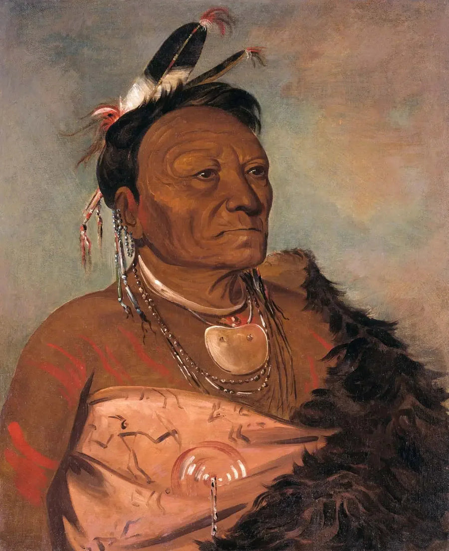 Wee-tá-ra-shá-ro, chef de la tribu - George Catlin