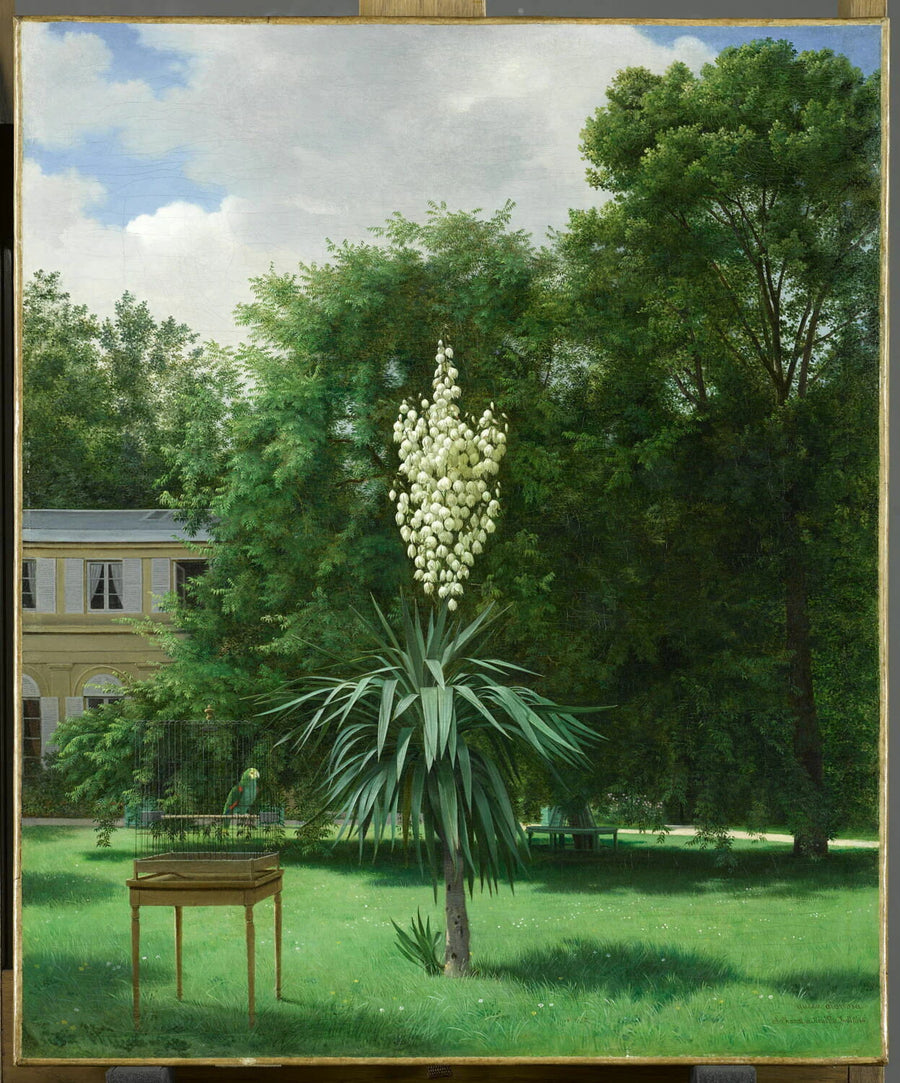 Le Yucca gloriosa, fleuri en 1844 dans le parc de Neuilly - Antoine Chazal