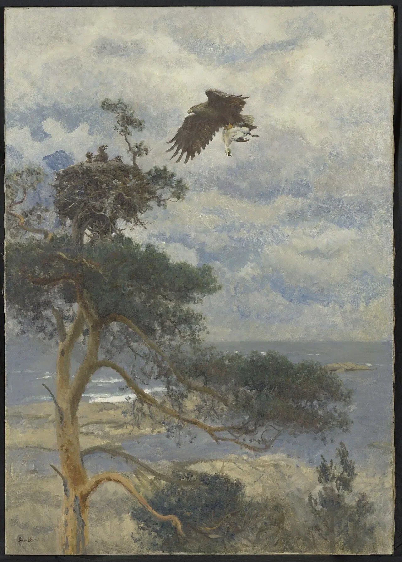 Zeearend met eidereend-woerd als prooi bij zijn nest aan de kust - Bruno Liljefors image 1 reproduction artisanale de tableau