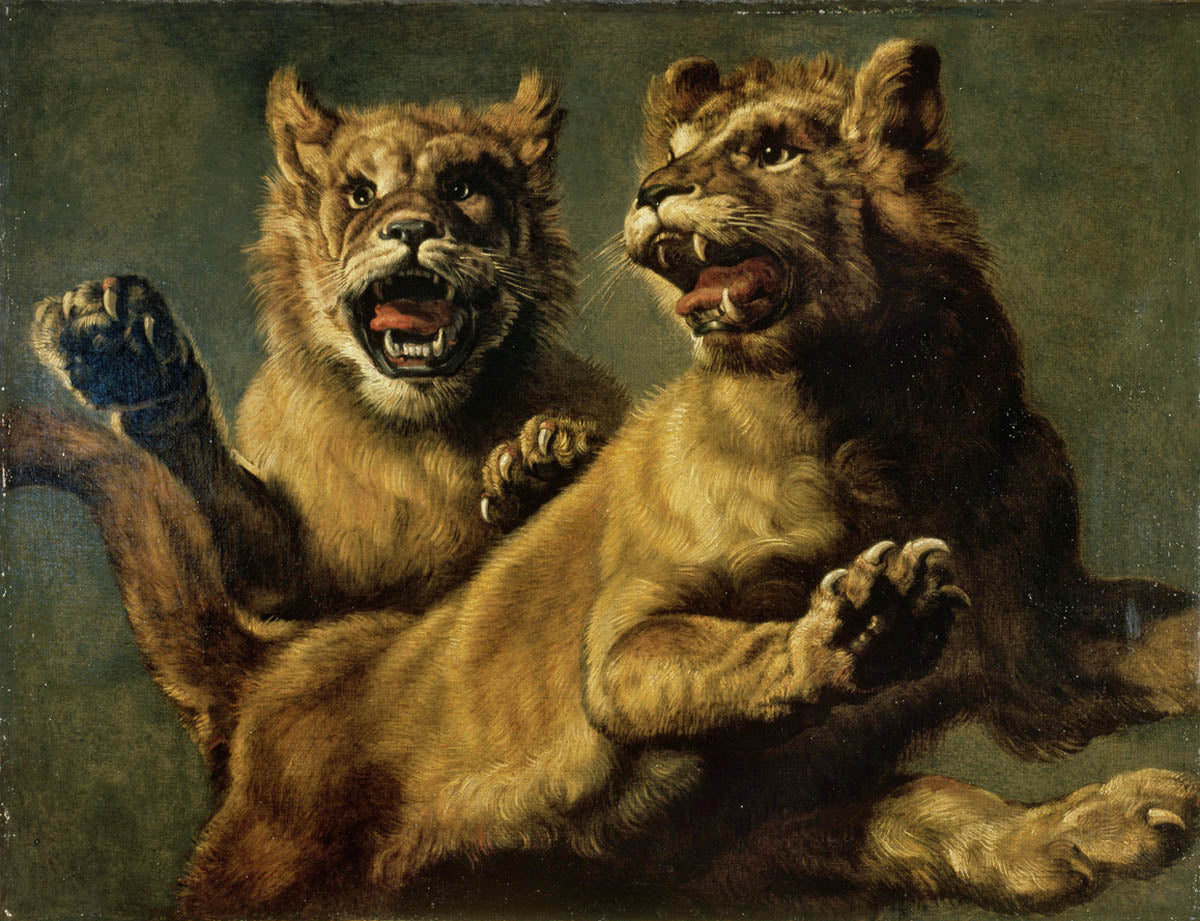 Zwei spielende junge Löwen - Frans Snyders image 1 reproduction artisanale de tableau